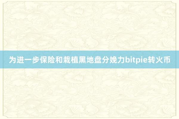 为进一步保险和栽植黑地盘分娩力bitpie转火币