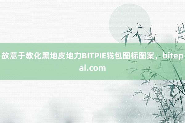 故意于教化黑地皮地力BITPIE钱包图标图案，bitepai.com