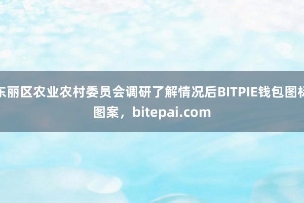 东丽区农业农村委员会调研了解情况后BITPIE钱包图标图案，bitepai.com