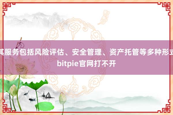 其服务包括风险评估、安全管理、资产托管等多种形式bitpie官网打不开