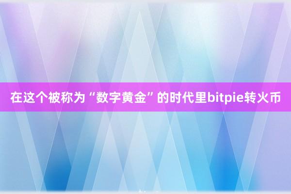 在这个被称为“数字黄金”的时代里bitpie转火币