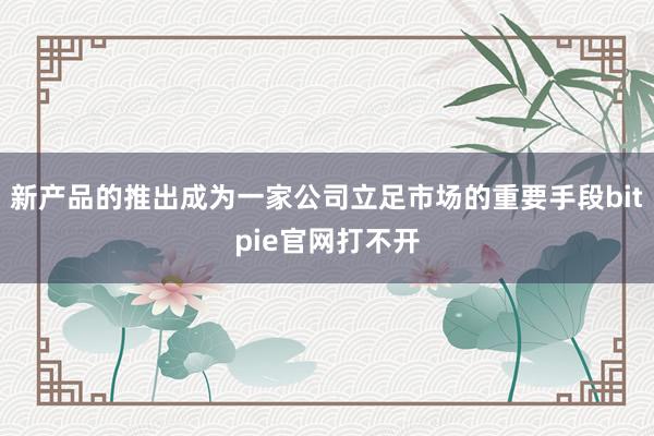 新产品的推出成为一家公司立足市场的重要手段bitpie官网打不开