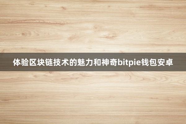 体验区块链技术的魅力和神奇bitpie钱包安卓