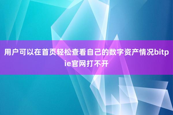 用户可以在首页轻松查看自己的数字资产情况bitpie官网打不开