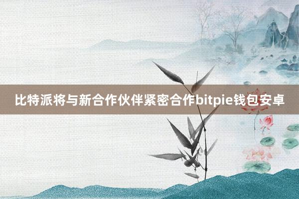 比特派将与新合作伙伴紧密合作bitpie钱包安卓