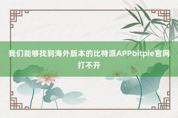 我们能够找到海外版本的比特派APPbitpie官网打不开