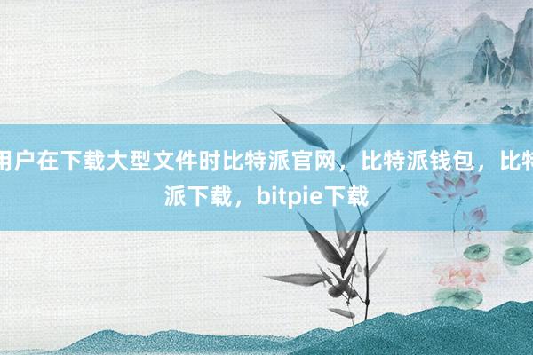 用户在下载大型文件时比特派官网，比特派钱包，比特派下载，bitpie下载