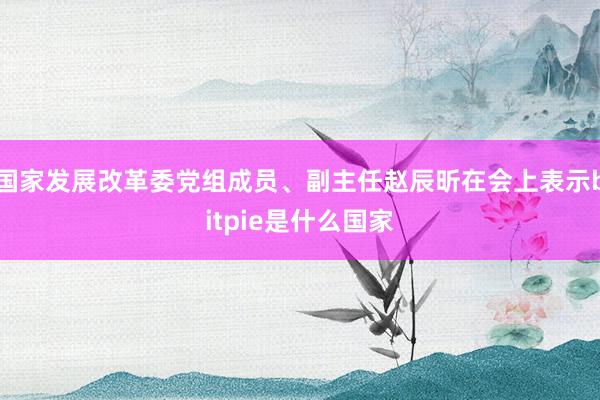 国家发展改革委党组成员、副主任赵辰昕在会上表示bitpie是什么国家