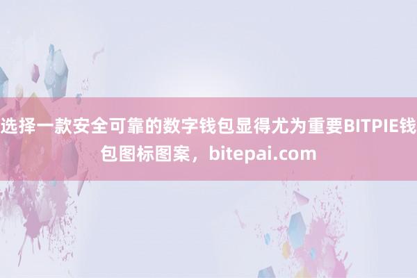 选择一款安全可靠的数字钱包显得尤为重要BITPIE钱包图标图案，bitepai.com