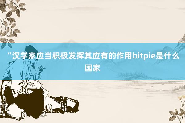 “汉学家应当积极发挥其应有的作用bitpie是什么国家