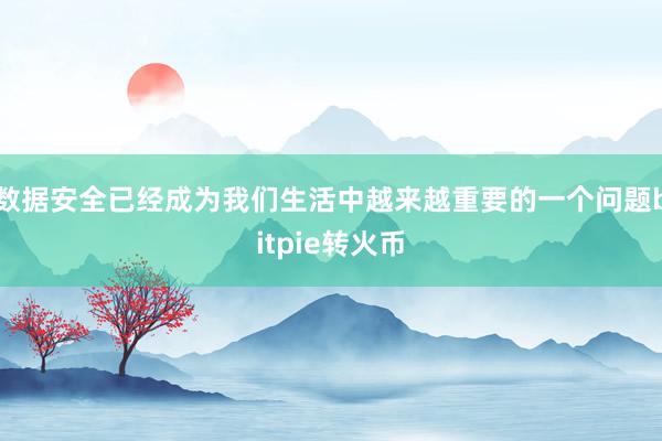 数据安全已经成为我们生活中越来越重要的一个问题bitpie转火币