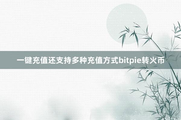 一键充值还支持多种充值方式bitpie转火币