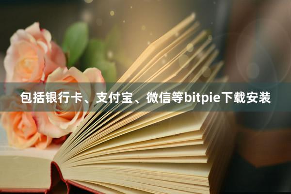 包括银行卡、支付宝、微信等bitpie下载安装