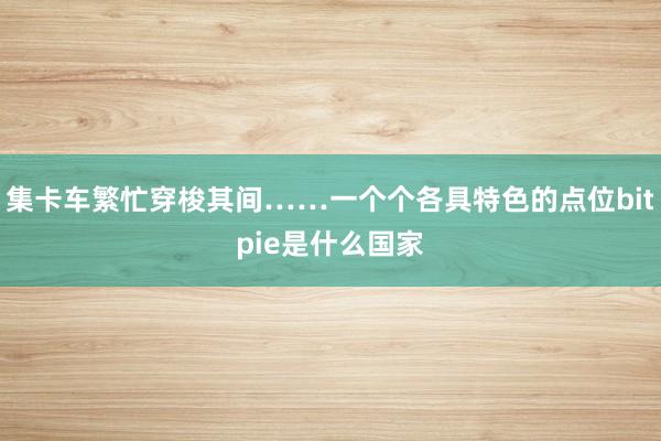 集卡车繁忙穿梭其间……一个个各具特色的点位bitpie是什么国家