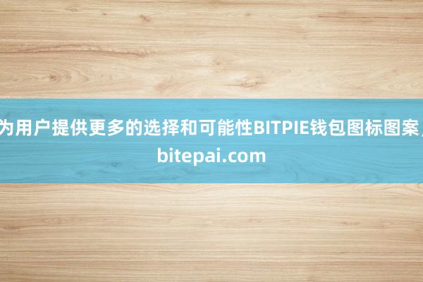 为用户提供更多的选择和可能性BITPIE钱包图标图案，bitepai.com