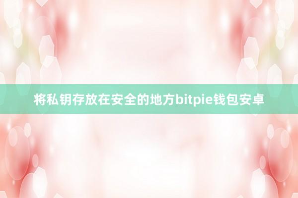 将私钥存放在安全的地方bitpie钱包安卓