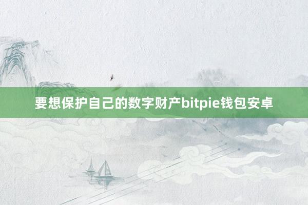 要想保护自己的数字财产bitpie钱包安卓