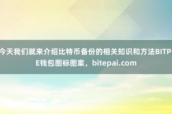 今天我们就来介绍比特币备份的相关知识和方法BITPIE钱包图标图案，bitepai.com