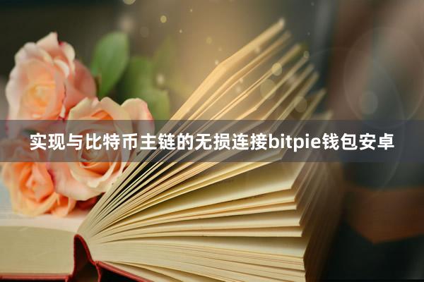 实现与比特币主链的无损连接bitpie钱包安卓