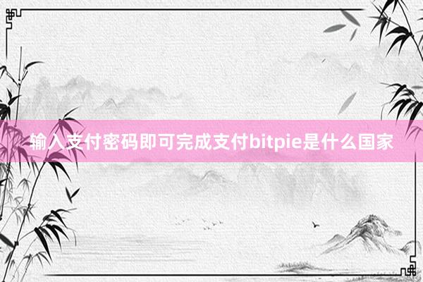 输入支付密码即可完成支付bitpie是什么国家