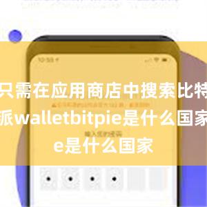 只需在应用商店中搜索比特派walletbitpie是什么国家