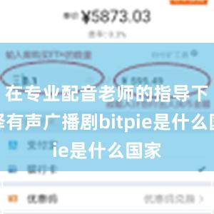 在专业配音老师的指导下演绎有声广播剧bitpie是什么国家