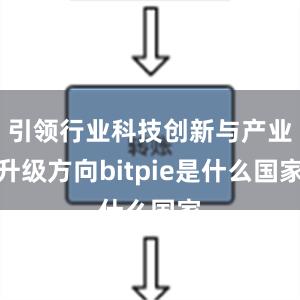 引领行业科技创新与产业升级方向bitpie是什么国家