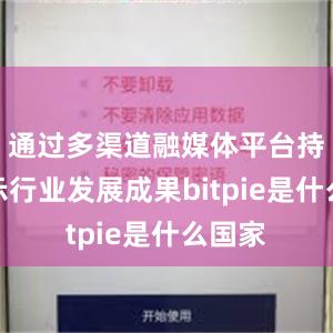 通过多渠道融媒体平台持续展示行业发展成果bitpie是什么国家