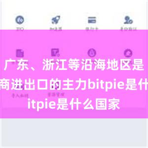 广东、浙江等沿海地区是跨境电商进出口的主力bitpie是什么国家