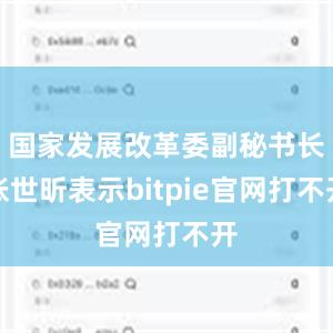 国家发展改革委副秘书长张世昕表示bitpie官网打不开