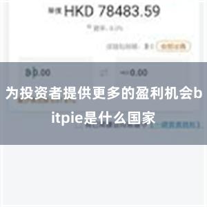 为投资者提供更多的盈利机会bitpie是什么国家